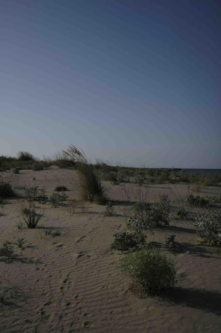 Casa Vacanze Campomarino  Dış mekan fotoğraf