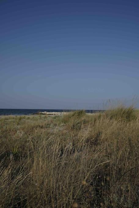 Casa Vacanze Campomarino  Dış mekan fotoğraf